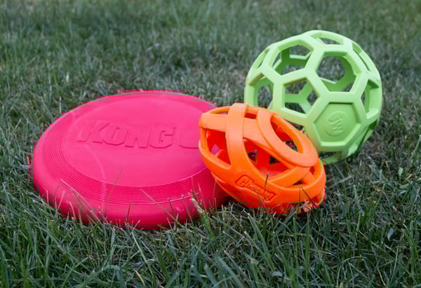 How to Clean Dog Toys Keeping You and Your Pet Safe and Active
